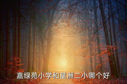 嘉绿苑小学和星洲二小哪个好