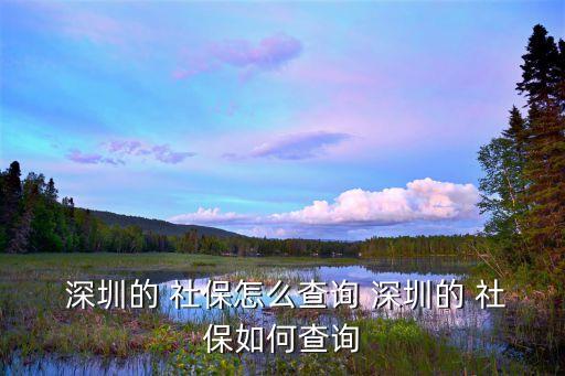  深圳的 社保怎么查询 深圳的 社保如何查询
