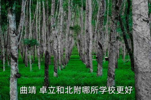  曲靖 卓立和北附哪所学校更好