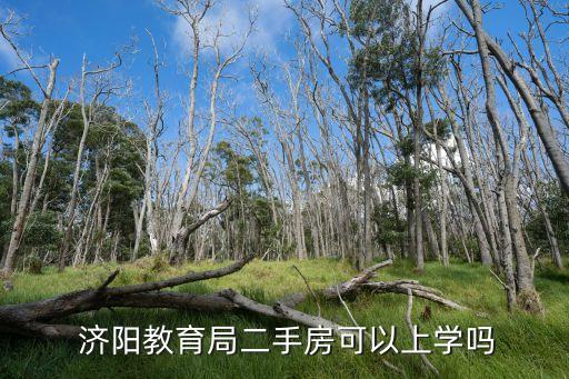 济阳哪些楼盘是学区房,济阳烂尾楼盘有哪些
