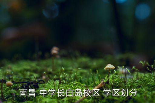  南昌 中学长白岛校区 学区划分
