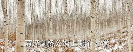  菏泽剑桥公馆上哪个 小学
