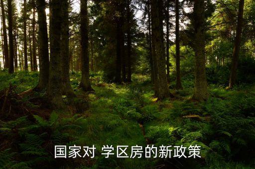 国家对 学区房的新政策