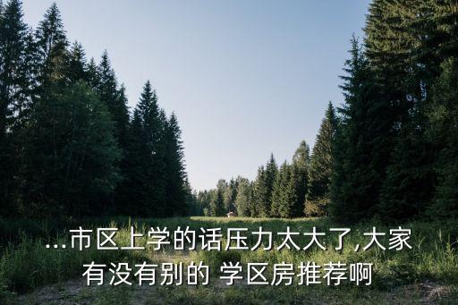 ...市区上学的话压力太大了,大家有没有别的 学区房推荐啊