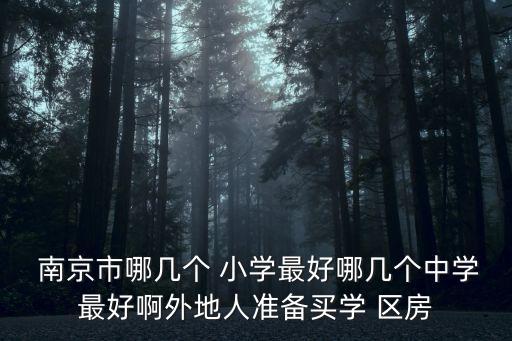  南京市哪几个 小学最好哪几个中学最好啊外地人准备买学 区房