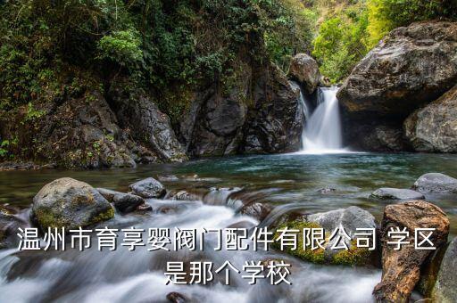 温州市育享婴阀门配件有限公司 学区是那个学校