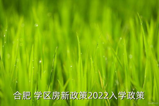 合肥 学区房新政策2022入学政策