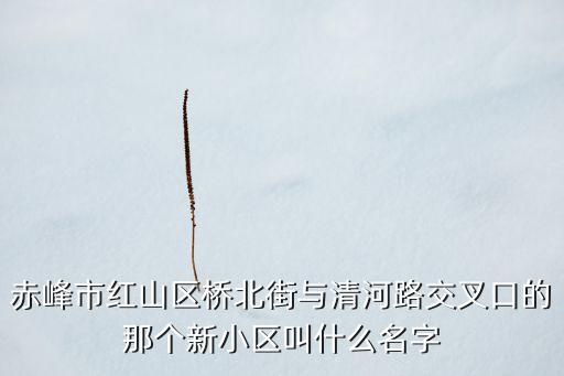赤峰市红山区桥北街与清河路交叉口的那个新小区叫什么名字