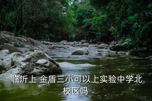  临沂上 金盾三小可以上实验中学北校区吗