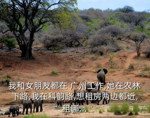 我和女朋友都在 广州工作,她在农林下路,我在科韵路,想租房两边都近,租哪...