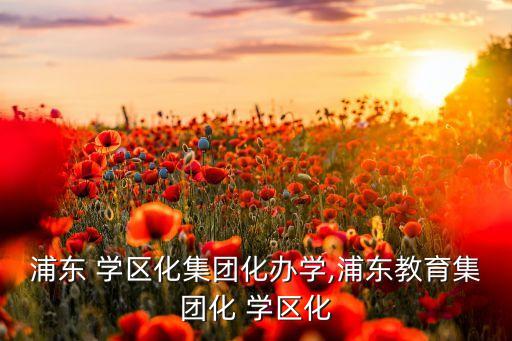 浦东 学区化集团化办学,浦东教育集团化 学区化