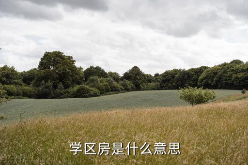 学区房的定义是什么,一次性学区房的定义