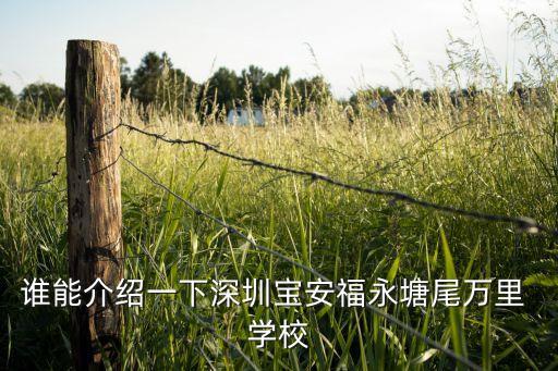 谁能介绍一下深圳宝安福永塘尾万里 学校