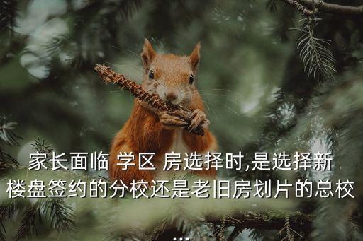 家长面临 学区 房选择时,是选择新楼盘签约的分校还是老旧房划片的总校...