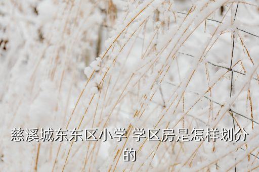 慈溪城东东区小学 学区房是怎样划分的