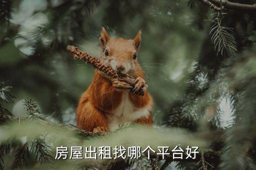 房源比较全的网站