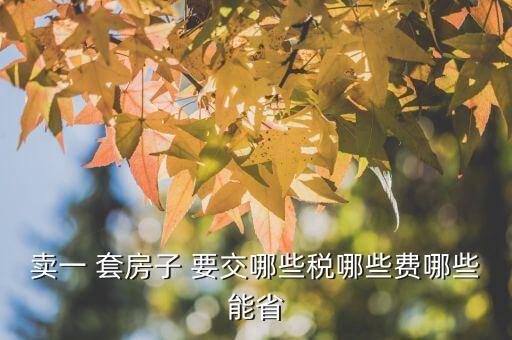 卖一 套房子 要交哪些税哪些费哪些能省