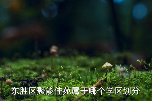 今天的伊克昭中学怎么样,伊克昭大药房怎么样