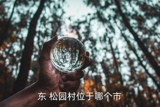 温州松园是哪个中学区房