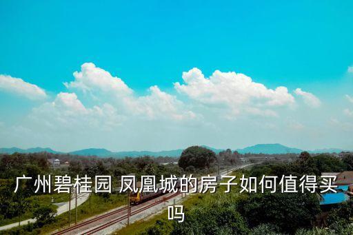 新塘凤凰城学区房有哪些,长葛碧桂园凤凰城是学区房吗
