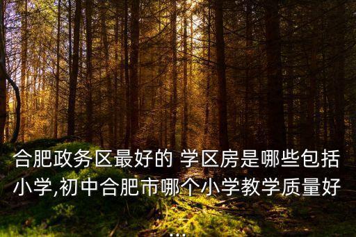 合肥政务区最好的 学区房是哪些包括小学,初中合肥市哪个小学教学质量好...