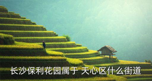 长沙保利花园属于 天心区什么街道