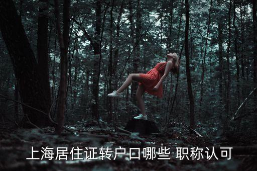 上海落户承认的中级职称