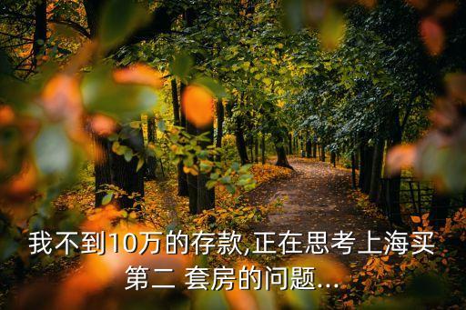 我不到10万的存款,正在思考上海买第二 套房的问题...
