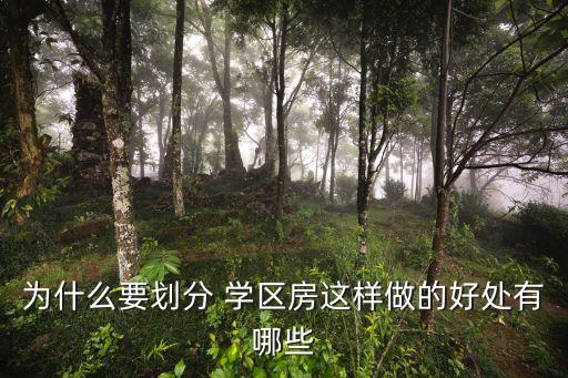 为什么要划分 学区房这样做的好处有哪些