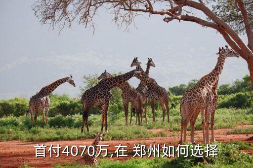 郑州顶级学区房多少钱一平,郑州学区房房价多少