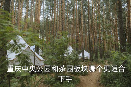  重庆中央公园和茶园板块哪个更适合下手