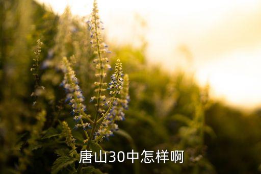 唐山三十中学区房有哪些,唐山第三十中学怎么样