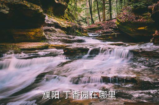 海口丁香园属于哪个学区房,海口阳光丁香园是学区房吗