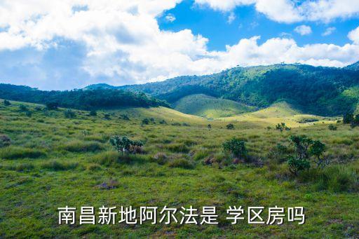  南昌新地阿尔法是 学区房吗