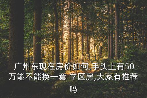  广州东现在房价如何,手头上有50万能不能换一套 学区房,大家有推荐吗