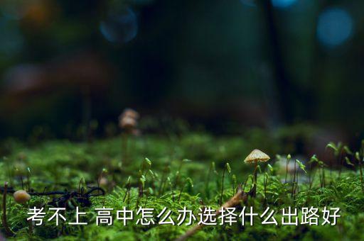  考不上 高中怎么办选择什么出路好