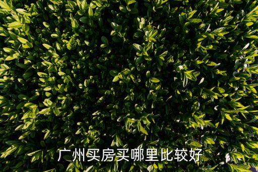  广州买房买哪里比较好
