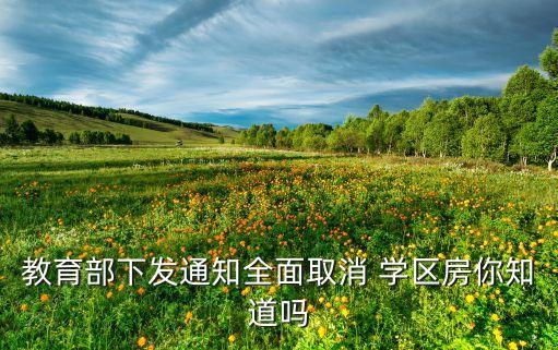 如何摆脱学区房政策,2023年学区房政策