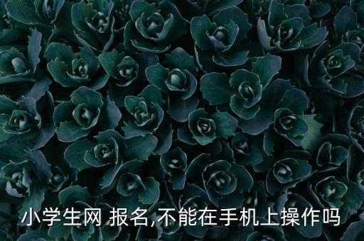 小学生网 报名,不能在手机上操作吗