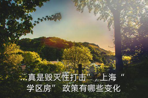 ...真是毁灭性打击”, 上海“ 学区房” 政策有哪些变化