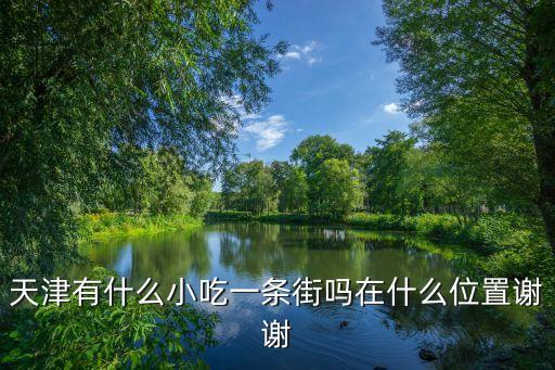 天津有什么小吃一条街吗在什么位置谢谢