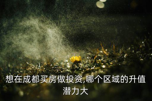 想在成都买房做投资,哪个区域的升值潜力大