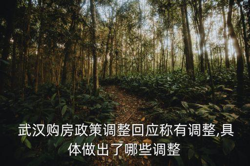  武汉购房政策调整回应称有调整,具体做出了哪些调整