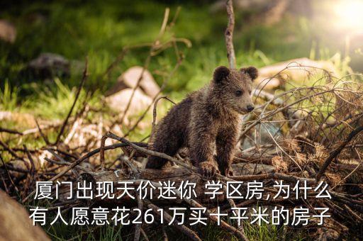 厦门顶级初中学区房有哪些,厦门买学区房可以直接上初中吗?