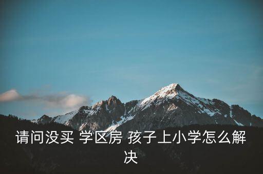 请问没买 学区房 孩子上小学怎么解决