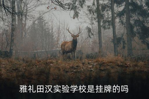 雅礼田汉实验学校是挂牌的吗