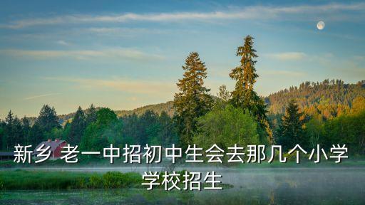 新乡 老一中招初中生会去那几个小学学校招生