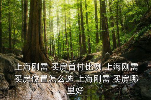  上海刚需 买房首付比例 上海刚需 买房位置怎么选 上海刚需 买房哪里好