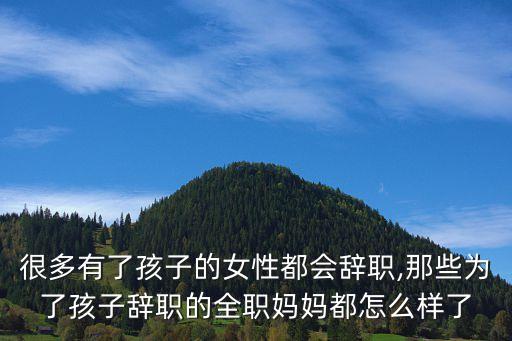 京华城梅岭学区房有哪些,扬州艺术院是梅岭京华城学区房吗