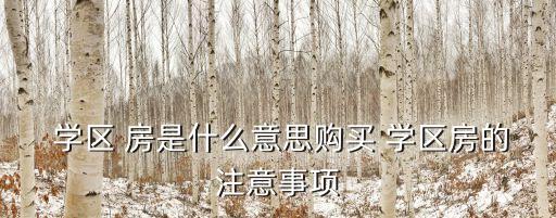 辅仁学区房是什么学校,山大辅仁学校学区范围